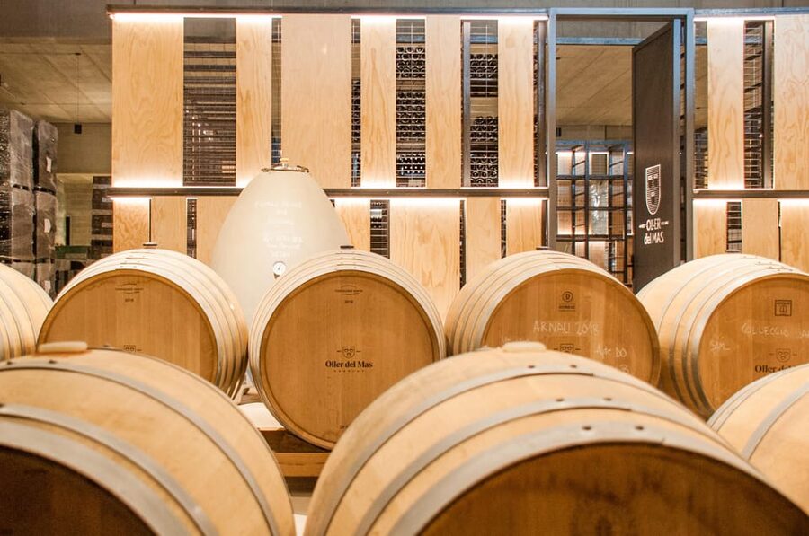Private Wine, Tapas & Cava Experience from Barcelona - What the food adds to the day