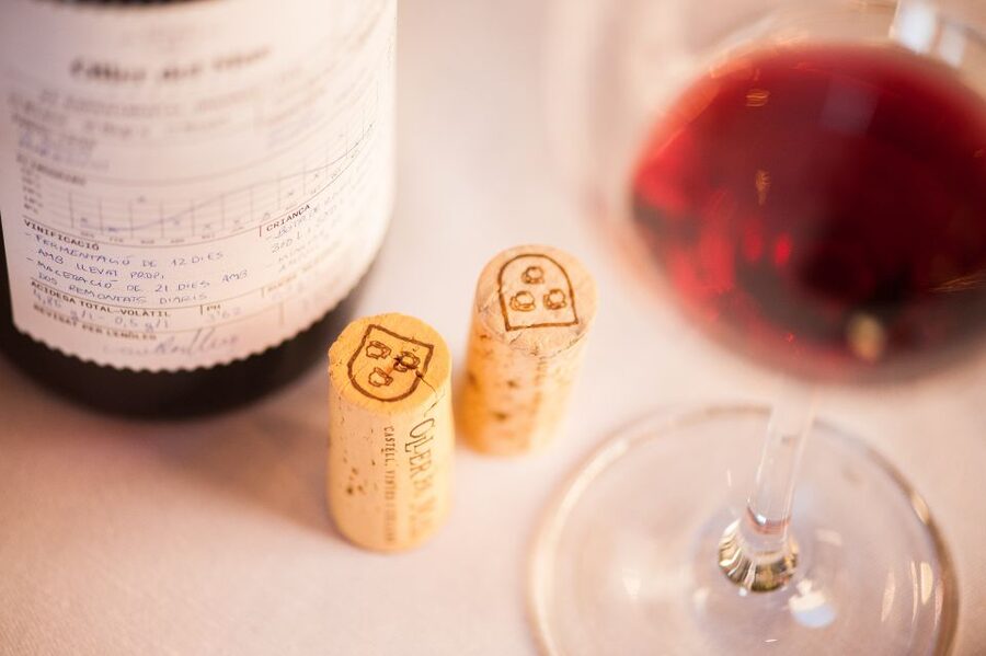 Private Wine, Tapas & Cava Experience from Barcelona - How much value do you get for $583?