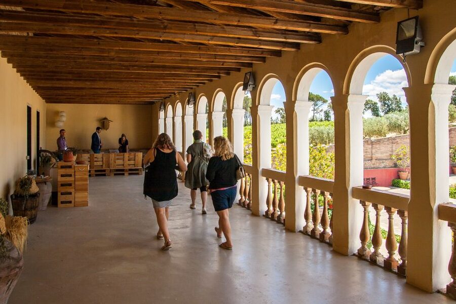 Private Wine, Tapas & Cava Experience from Barcelona - The practical details that matter