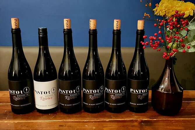 Private Wine Tasting in Budapest - Food pairings that make the wine easier to understand