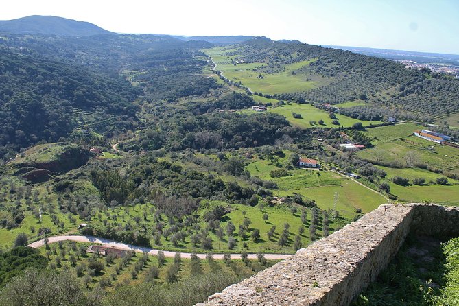 Private Wine Tasting in the Setúbal Wine Region, from Lisbon - José Maria da Fonseca: the essential first cellar