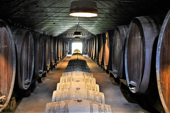 Private Wine Tasting in the Setúbal Wine Region, from Lisbon - A private ride with room for conversation