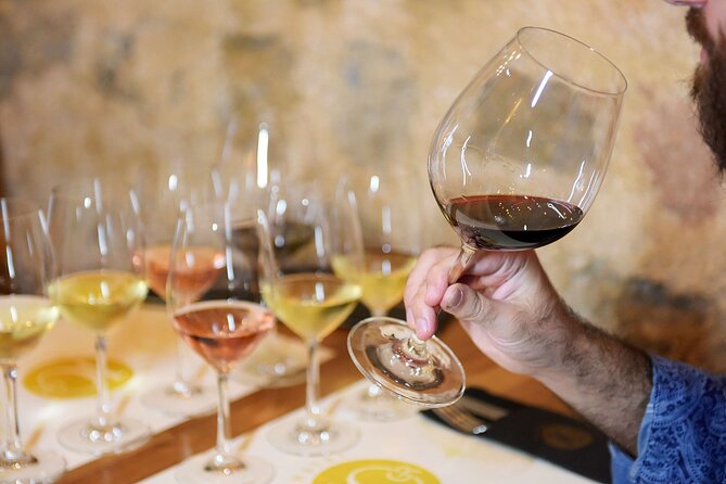 Private Wine Tasting Under the Guidance of a Sommelier in Rhodes - Price and what you receive for $42.33