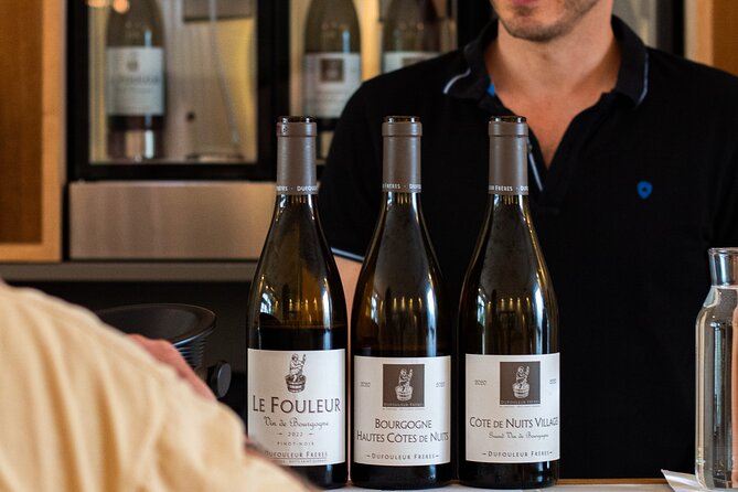 Private wine tasting workshop by Dufouleur - Bourgogne - The tasting: learning what to look for