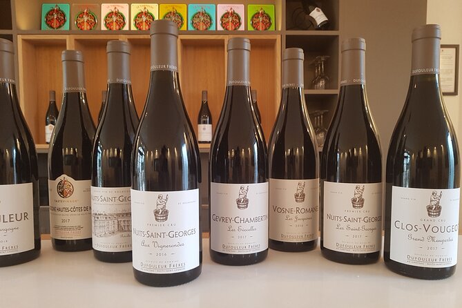 Private wine tasting workshop by Dufouleur - Bourgogne - A private format that suits curious drinkers