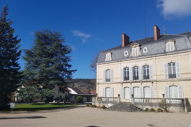 Private wine tasting workshop by Dufouleur - Bourgogne - Planning the visit sensibly