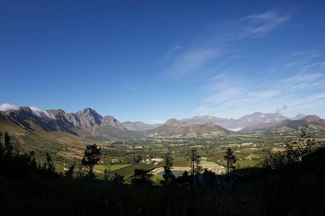 Private Wine Tour with Wine Expert to Stellenbosch-Franschhoek Wine Regions - What the $206.99 price really covers