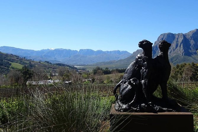 Private Wine Tour with Wine Expert to Stellenbosch-Franschhoek Wine Regions - How the four winery stops work