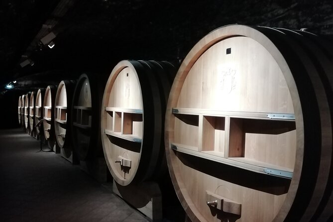 Provence Cru Wine Small-Group Half-Day Tour from Avignon - Starting from Avignon at 2:30 pm