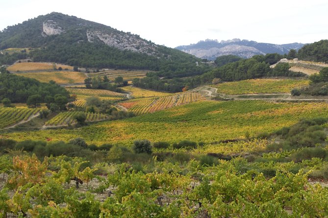 Provence Cru Wine Small-Group Half-Day Tour from Avignon - Gigondas, where wine tradition reaches back to Roman times