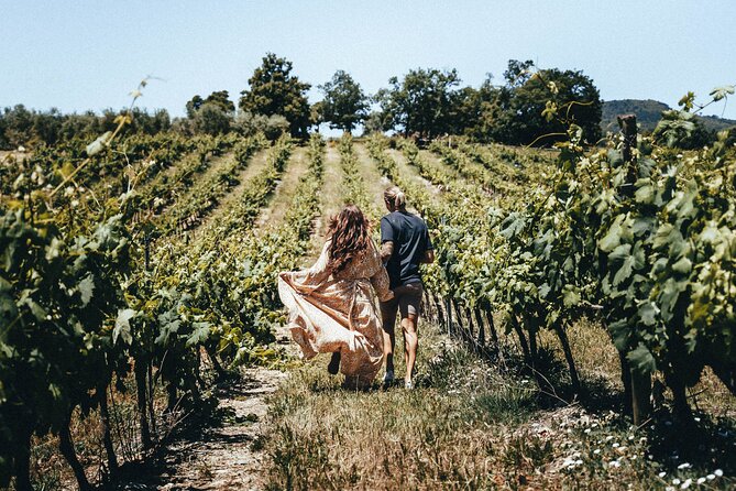 Provence Wine Tour - Small Group Tour from Cannes - About 15 wines across rosé, red, and white