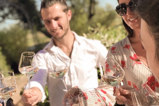 Provence Wine Tour - Small Group Tour from Cannes - Lunch in a medieval Provençal village