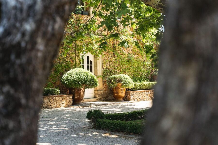 Provence Wine Tour - Small Group Tour from Cannes - Final stop: organic wines, gardens, and a memorable cellar