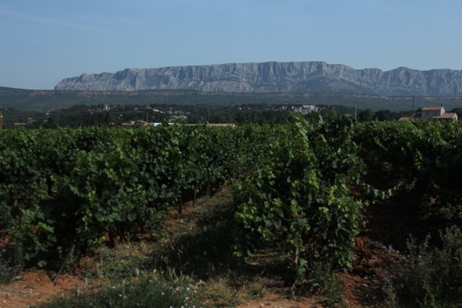 Provence Wineries and Luberon Villages Day Trip from Aix-en-Provence - The Sainte-Victoire vineyards begin the day