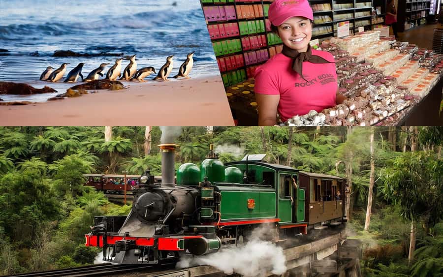 Puffing Billy Penguin Parade Winery Chocolaterie All-in-One - A long day that links three Melbourne favorites