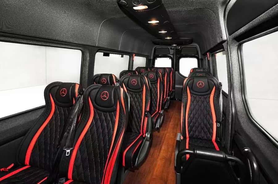 Puffing Billy Penguin Parade Winery Chocolaterie All-in-One - Who will enjoy this tour most?
