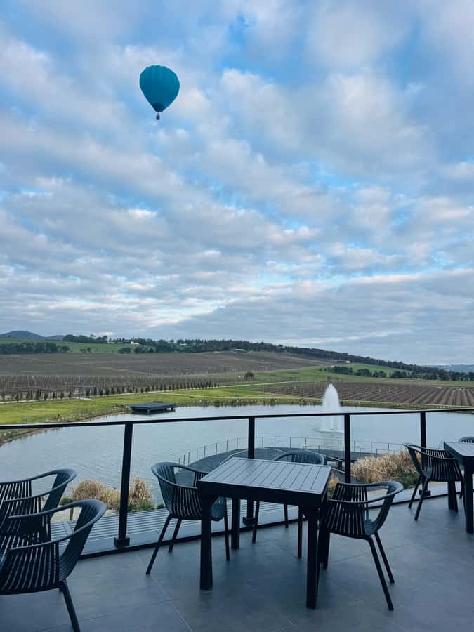 Puffing Billy Penguin Parade Winery Chocolaterie All-in-One - What to bring and how to prepare