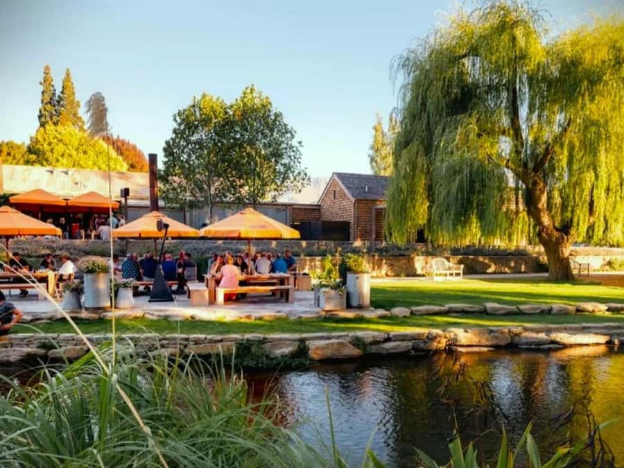Queenstown, Arrowtown, Gibbston: Flexible Wine Hopper Tours - Practical tips for a smoother afternoon