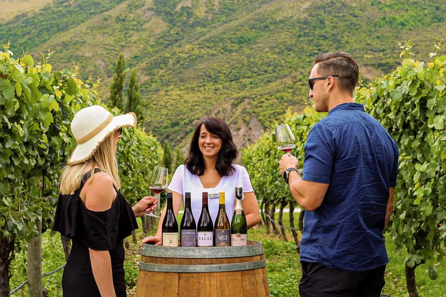 Queenstown: Classic Wine Tour - Why Gibbston makes a good afternoon from Queenstown