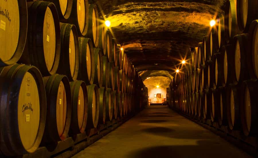 Queenstown: Classic Wine Tour - The cheeseboard makes the tasting more useful