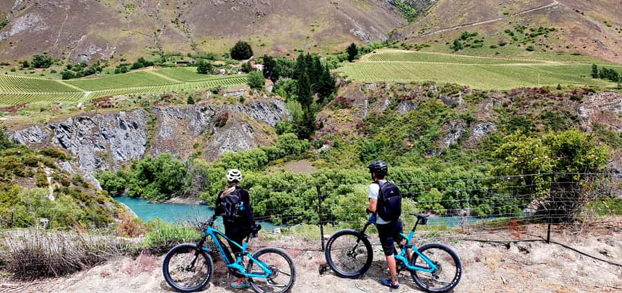 Queenstown: Guided E-Bike Tour with Winery Visits & Tastings - Key points at a glance