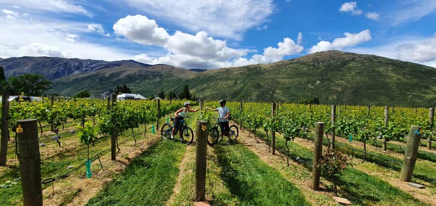 Queenstown: Guided E-Bike Tour with Winery Visits & Tastings - Kawarau Bridge and its famous leap