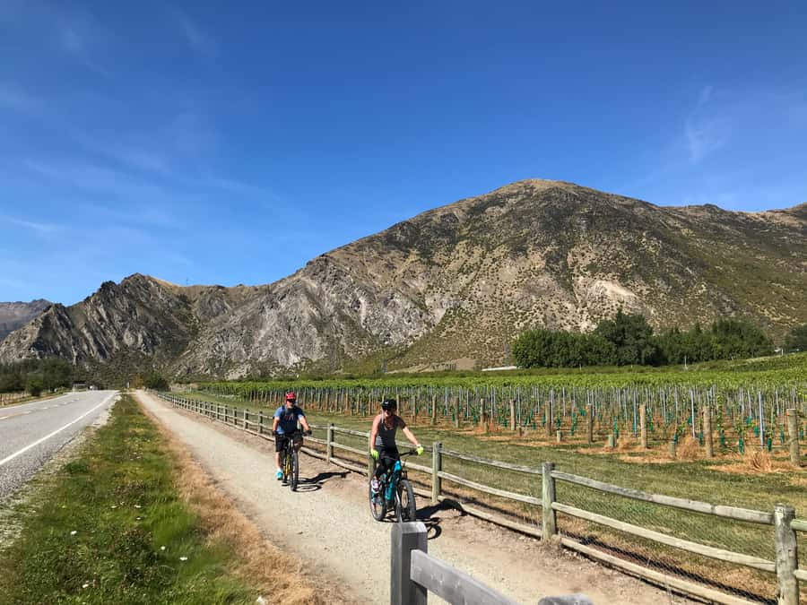 Queenstown: Guided E-Bike Tour with Winery Visits & Tastings - Two boutique wineries after the pedals stop