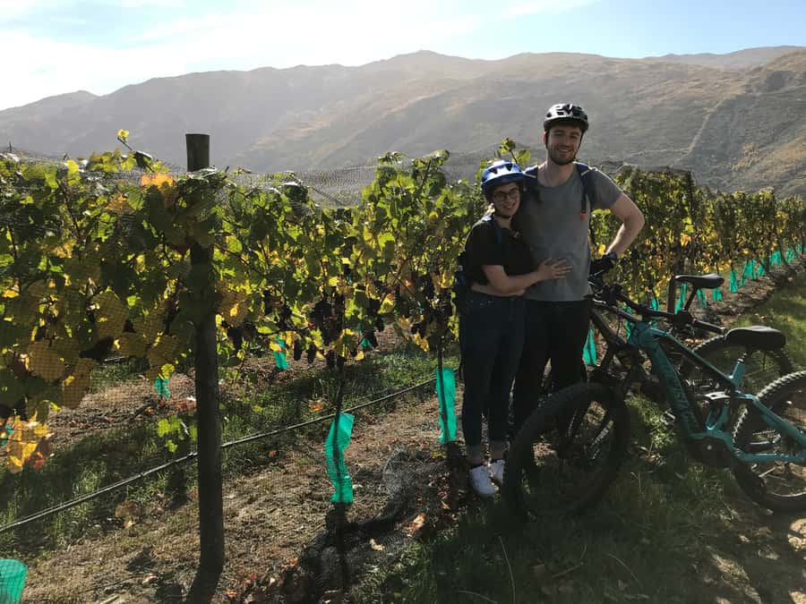 Queenstown: Guided E-Bike Tour with Winery Visits & Tastings - Why the $194 price can make sense