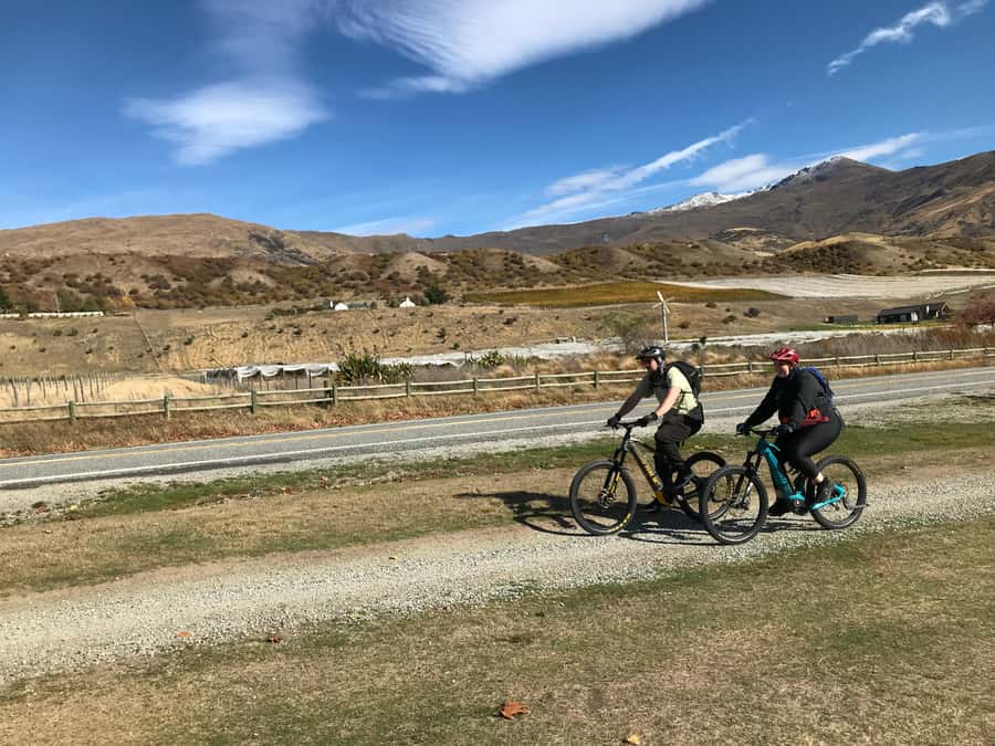 Queenstown: Guided E-Bike Tour with Winery Visits & Tastings - Practical tips before you book