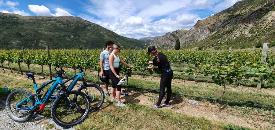 Queenstown: Guided E-Bike Tour with Winery Visits & Tastings - Arrowtown, gold country, and the first part of the ride