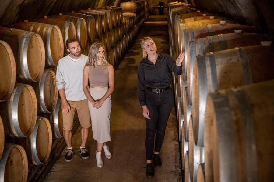 Queenstown: Original Premium Half-Day Gibbston Wine Tour - My call: book it for an easy, social wine afternoon