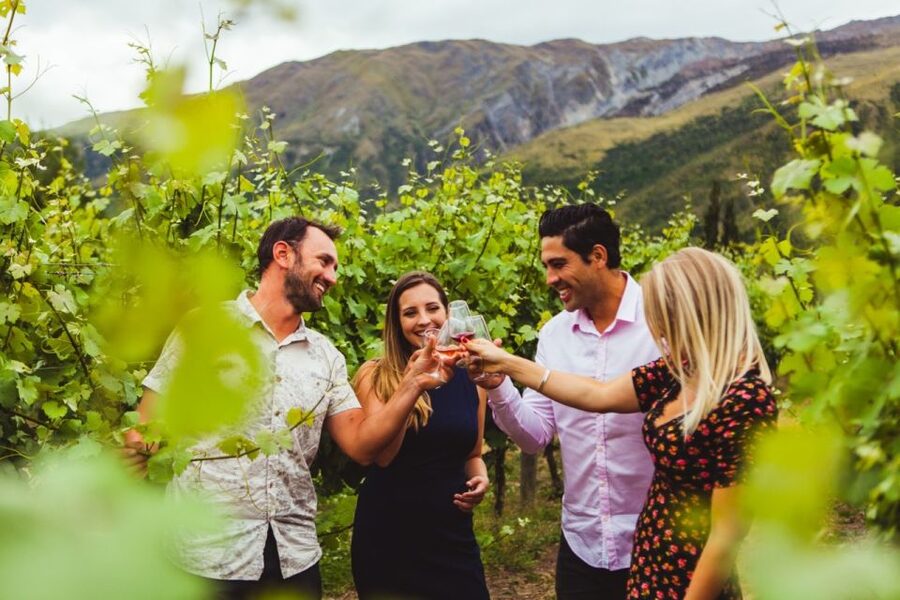 Queenstown: Twilight Wine and Craft Beer Tour - Why the late afternoon works well