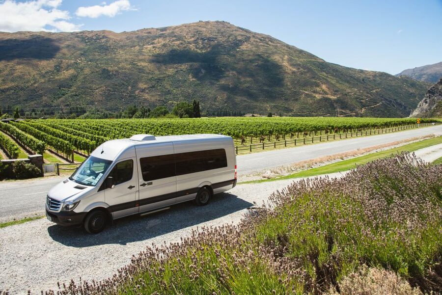 Queenstown: Twilight Wine and Craft Beer Tour - Two cellar doors and a brewery