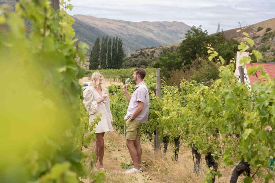 Queenstown: Wine & Food Tour, Scenic Tastings & Paired Lunch - A cave tasting adds a memorable change of scene