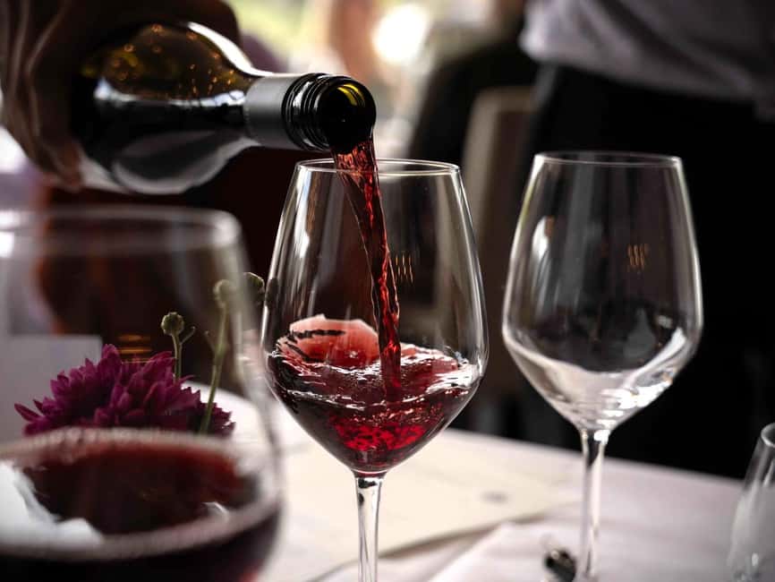 Queenstown: Wine & Food Tour, Scenic Tastings & Paired Lunch - Who should book this tour