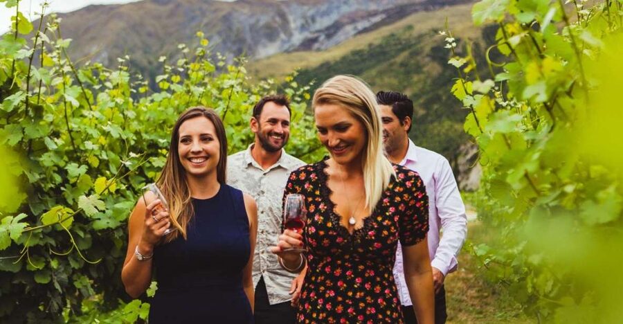 Queenstown: Wine Tasting Tour - Pickup, group size, and booking details
