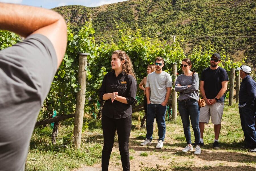 Queenstown: Wine Tasting Tour - Mt Rosa Wines and the owner-operator feel