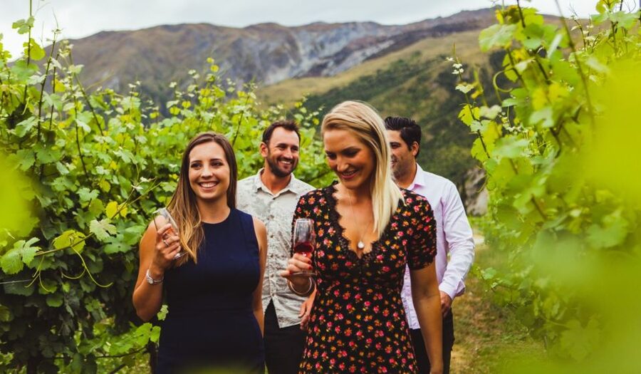 Queenstown: Wine Tasting Tour - Is $134 a fair price?
