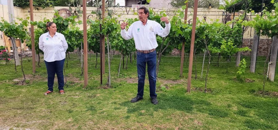 Querétaro: Bernal & Tequisquiapan Trip with Wine & Cheese - Who should book this Querétaro day trip?