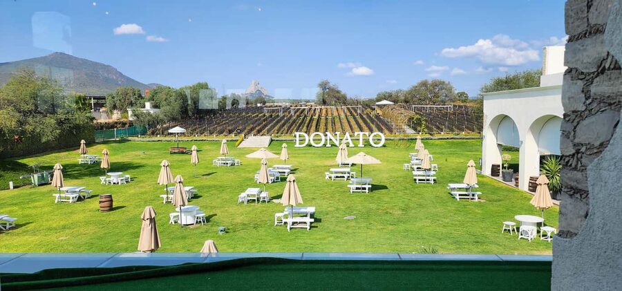 Querétaro: Bernal & Tequisquiapan Trip with Wine & Cheese - Should you book it?