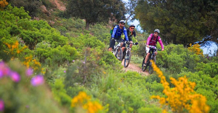 Ramatuelle: Tracks & Tasting Winery Tour by Mountain E-Bike - The coastal countryside before the wine stops