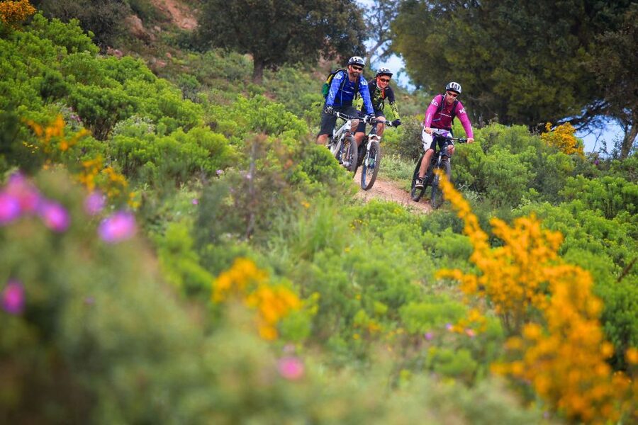 Ramatuelle: Tracks & Tasting Winery Tour by Mountain E-Bike - Practical preparation for the ride