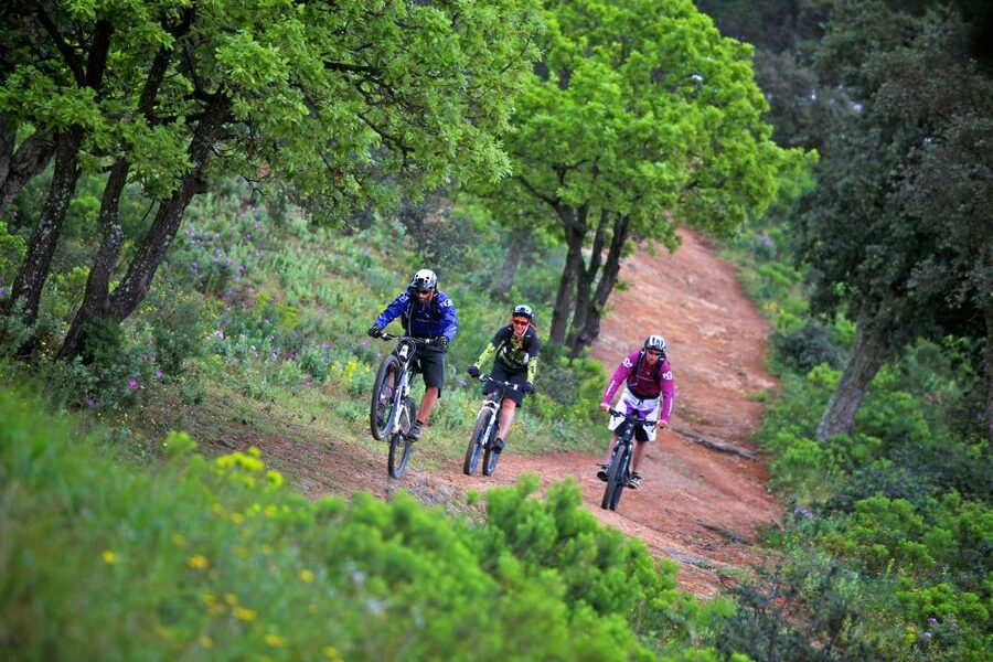 Ramatuelle: Tracks & Tasting Winery Tour by Mountain E-Bike - Riding doubletracks and singletracks around Ramatuelle