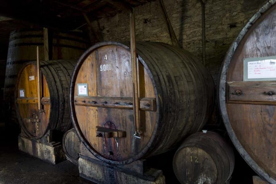 Régua: Wine tasting at a Quinta, traditional lunch, cruise, and train ride - The morning begins with Douro wine at Coimbra de Mattos