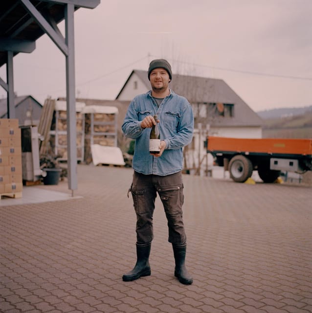 Reil, Mosel: Guided organic wine tasting and cellar tour - A modern cellar with traditional ideas