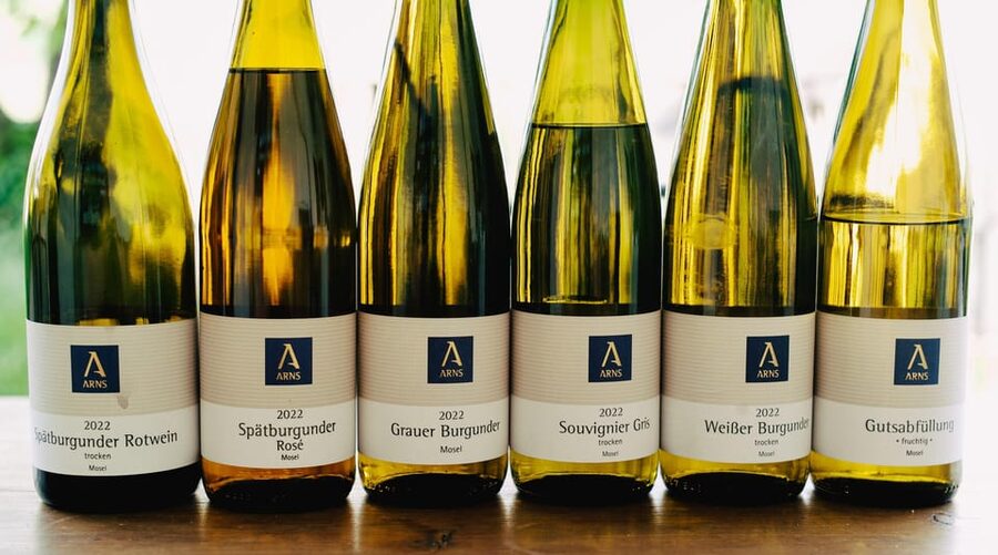 Reil, Mosel: Guided organic wine tasting and cellar tour - One hour among the organic vines