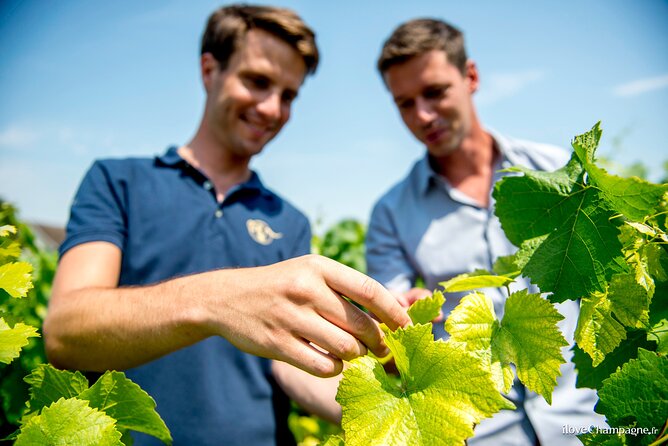 Reims afternoon tour Champagne and family growers - Meeting the guide at Reims station