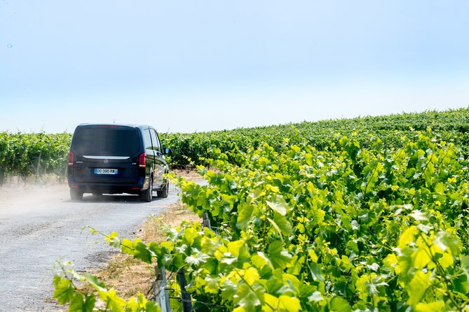 Reims afternoon tour Champagne and family growers - Who should book this Reims Champagne tour?