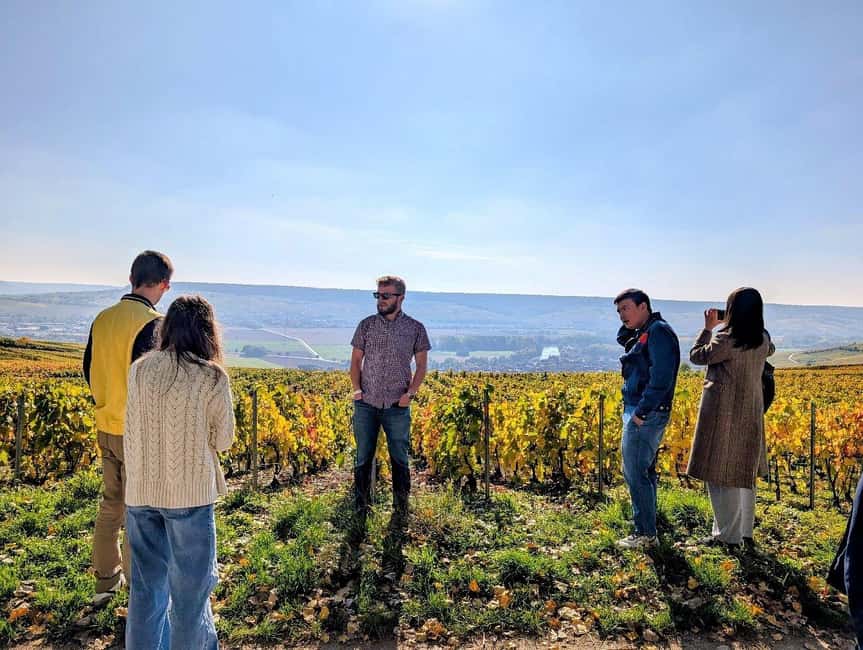 Reims: Moët & Chandon and Family-Run Winery Day Tour & Lunch - Key points to know before booking
