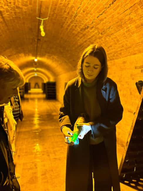 Reims: Moët & Chandon and Family-Run Winery Day Tour & Lunch - A Champagne-paired lunch at a family estate